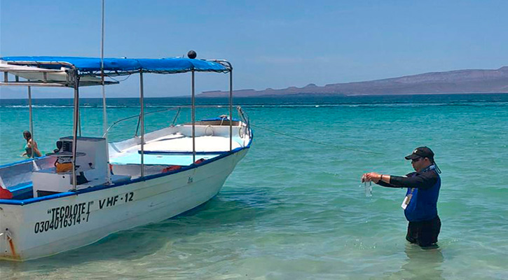 En condiciones el agua para actividades recreativas en la playa El Tecolote En condiciones el agua para actividades recreativas en la playa El Tecolote