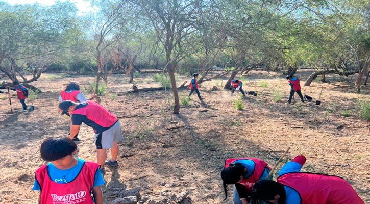 Plantaron 100 árboles de mezquite en el Estero de SJC