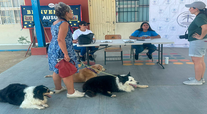 Atendieron a 90 mascotas en campaña de vacunación para perros y gatos en El Campamento