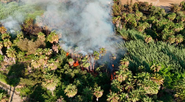 Sofocados los 3 incendios que se registraron en La Paz el fin de semana Sofocados los 3 incendios que se registraron en La Paz el fin de semana