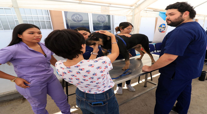 Invita UABCS a su Feria de Sensibilización y Cuidado Animal en La Paz
