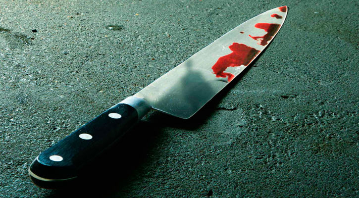 Vinculan a proceso a imputado de acuchillar a un perro en La Paz Vinculan a proceso a imputado de acuchillar a un perro en La Paz