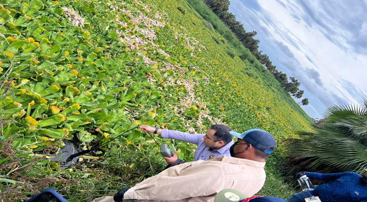 Tomarán muestras y principales parámetros en el Estero de San José del Cabo