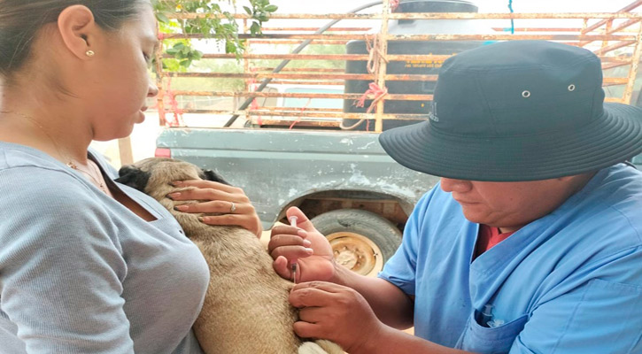 Aplicaron 100 dosis de vacunas antirrábicas en comunidades de Los Pozos y La Candelaria