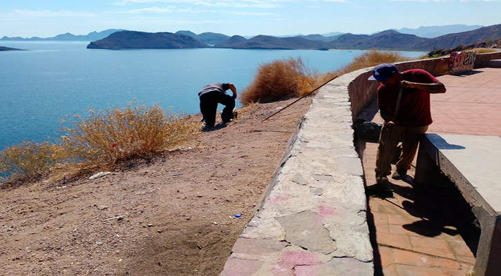 Mantendrá Zofemat Loreto la limpieza de las playas; ya se hizo en las ubicadas al sur del municipio