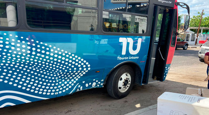 Tiburón Urbano ha funcionado “más o menos”, reconoce Alcaldesa de La Paz Tiburón Urbano ha funcionado “más o menos”, reconoce Alcaldesa de La Paz