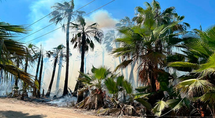 Atienden autoridades 3 incendios simultáneos en Todos Santos Atienden autoridades 3 incendios simultáneos en Todos Santos