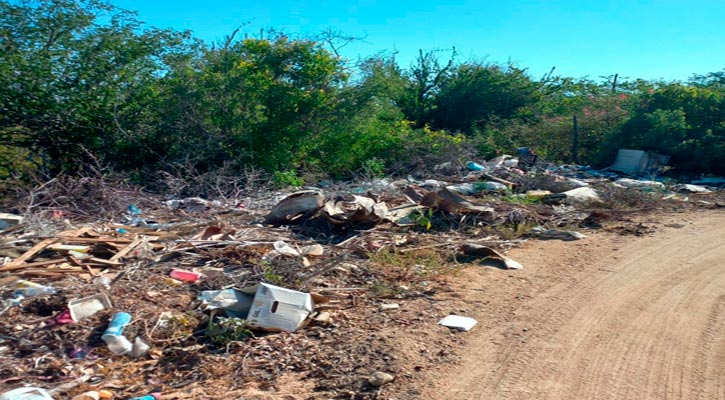 Hasta 33 mil pesos de multa por arrojar basura en vía pública de Los Cabos