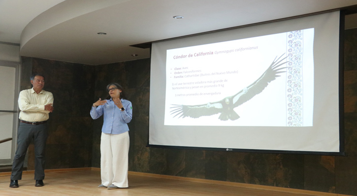 Presentan en la UABCS conferencia sobre el cóndor de las Californias Presentan en la UABCS conferencia sobre el cóndor de las Californias