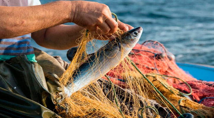 Aplicará Ayuntamiento de Los Cabos plan integral en apoyo al sector pesquero Aplicará Ayuntamiento de Los Cabos plan integral en apoyo al sector pesquero