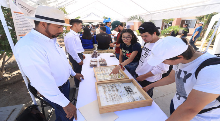 Celebró la UABCS una edición más de su Feria Educativa con asistencia de más de mil estudiantes