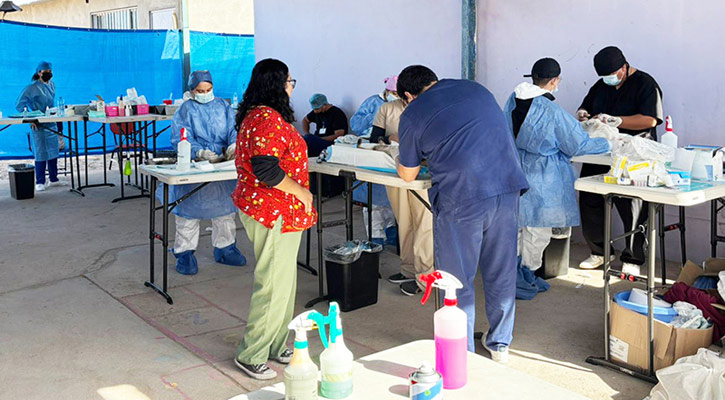 Realiza Salud trabajos continuos para prevenir la rickettsiosis en el Vizcaíno