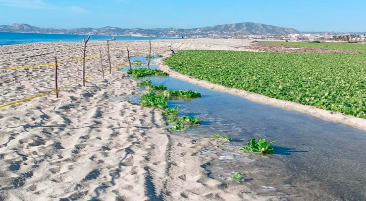 Advierte Ayuntamiento de Los Cabos sobre apertura de la bocana del Estero josefino