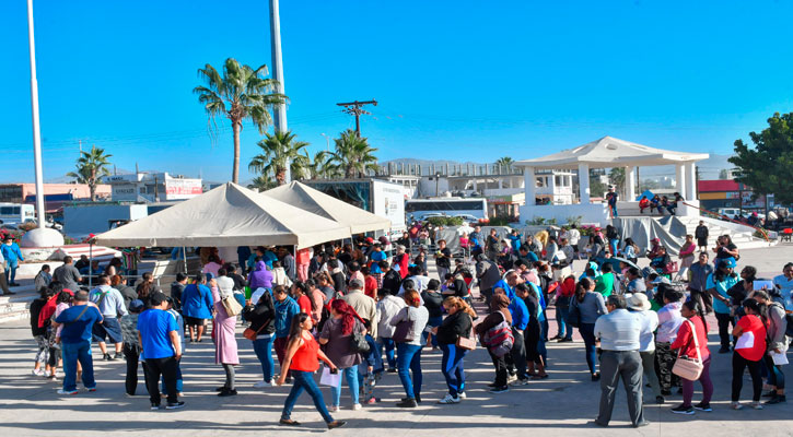 Entregó el Ayuntamiento de Los Cabos 1,500 pavos a familias de CSL Entregó el Ayuntamiento de Los Cabos 1,500 pavos a familias de CSL