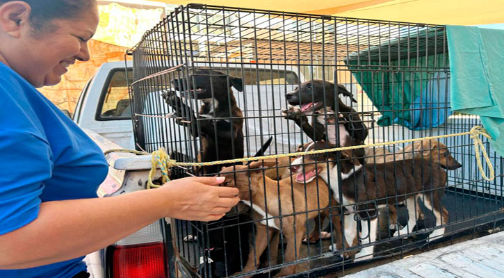 Ampliará CEMAC de La Paz su horario de atención los fines de semana