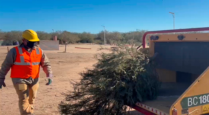 Reciben árboles de Navidad naturales en el Eco Parque de La Paz Reciben árboles de Navidad naturales en el Eco Parque de La Paz