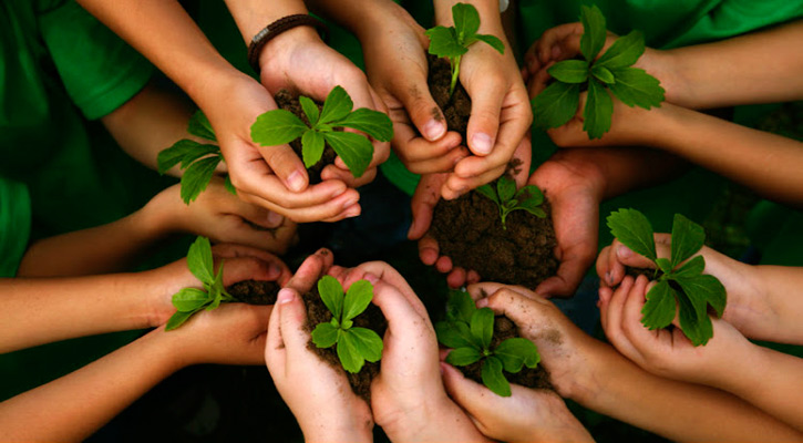 Con diversas actividades celebran en Los Cabos el Día de la Educación Ambiental