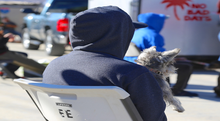 Esterilizaron 287 mascotas de forma gratuita en SJC