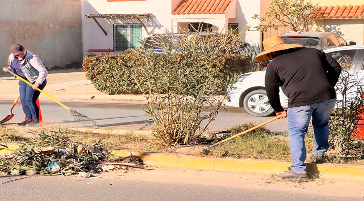 Realizan labores de aseo y retiro de residuos en colonia Colinas Plus en SJC