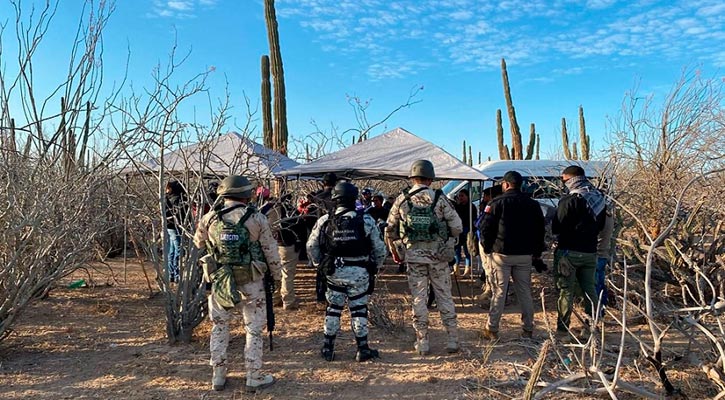 Diez grupos de búsqueda de personas participan en localización de fosas clandestinas en BCS