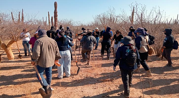 Localizan otras 7 fosas clandestinas en La Paz; ya son 8 en dos días