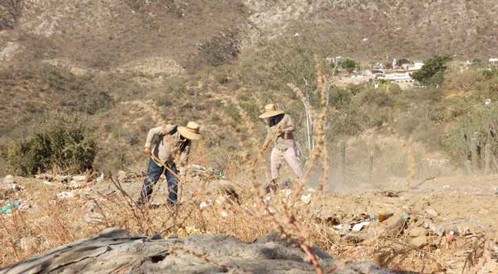Limpian y rehabilitan espacio que se había utilizado como basurero clandestino en CSL