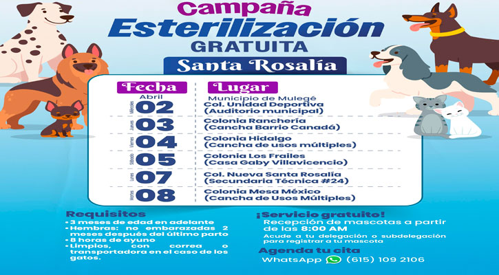 Efectuarán en diversas colonias de Santa Rosalía campaña de esterilización del 2 al 7 de abril