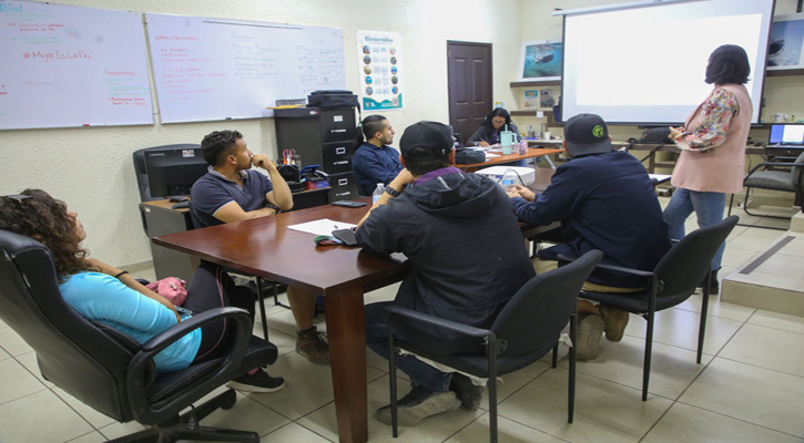 Impartirán pláticas sobre el tiburón ballena en escuelas de La Paz Impartirán pláticas sobre el tiburón ballena en escuelas de La Paz