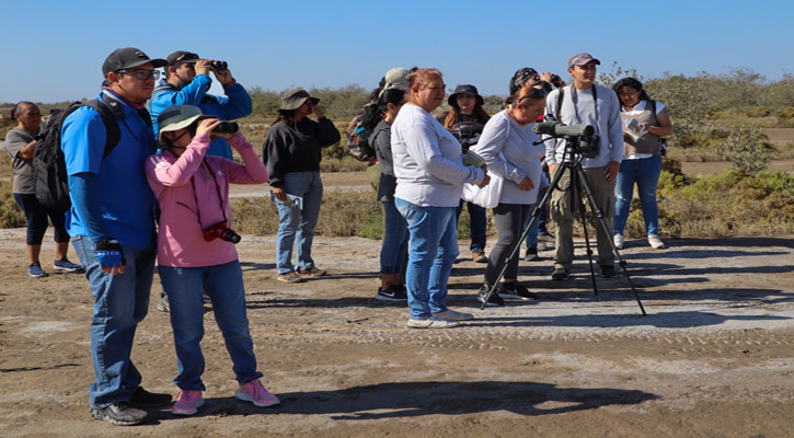 Promueve Turismo de La Paz el aviturismo con curso básico