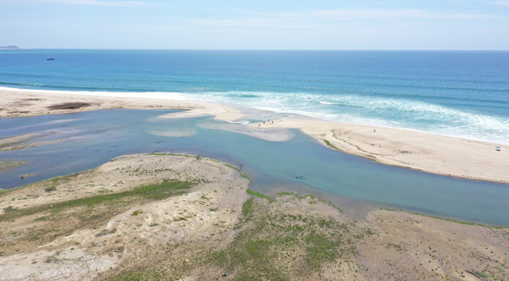 Se abre bocana del Estero de SJC tras sismos; se implementan acciones de protección ambiental