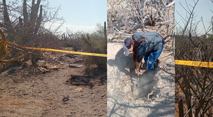 En domingo de Resurrección localizan 5 fosas clandestinas más en La Paz
