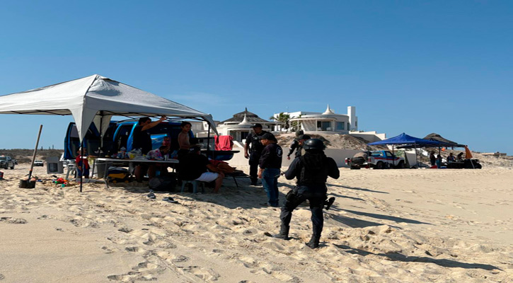 Playas libres de carros en Los Cabos: Ecología Playas libres de carros en Los Cabos: Ecología