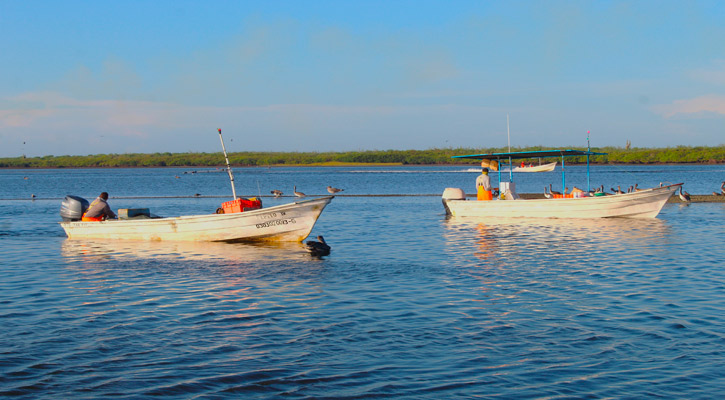 Avanza BCS en el fortalecimiento del sector pesquero y acuícola