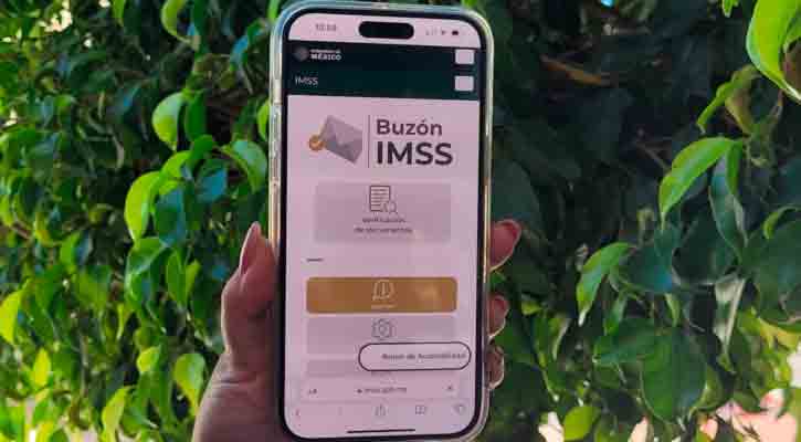 Exhorta el Seguro Social de BCS a patrones a activar Buzón IMSS