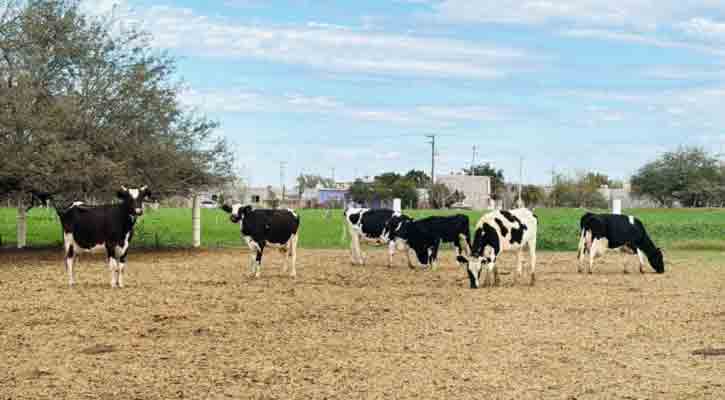 Destina el gobierno del BCS recursos por 21.1 mdp a productores del Valle Santo Domingo
