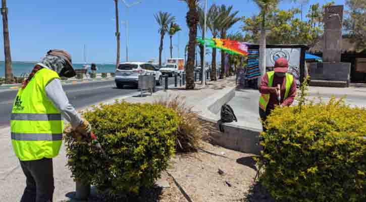 Realiza mantenimiento en el malecón y colonias de La Paz