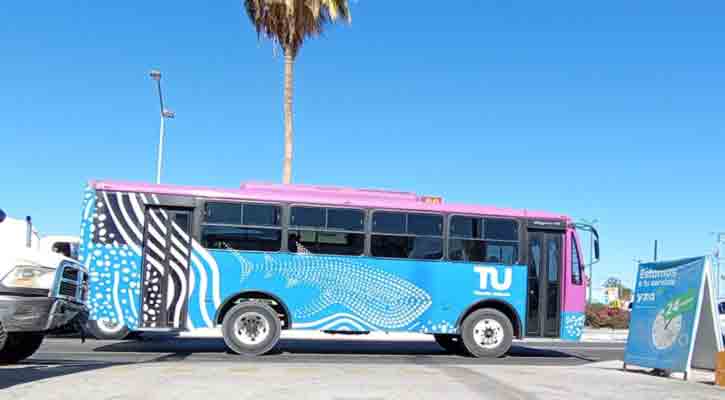 Hay tres opciones para fortalecer el transporte urbano de La Paz