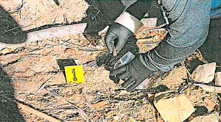 Aseguran en cateo un inmueble y casquillos en San José del Cabo