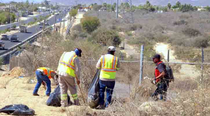 Refuerza Servicios Públicos de Los Cabos limpieza en laterales de la carretera Transpeninsular