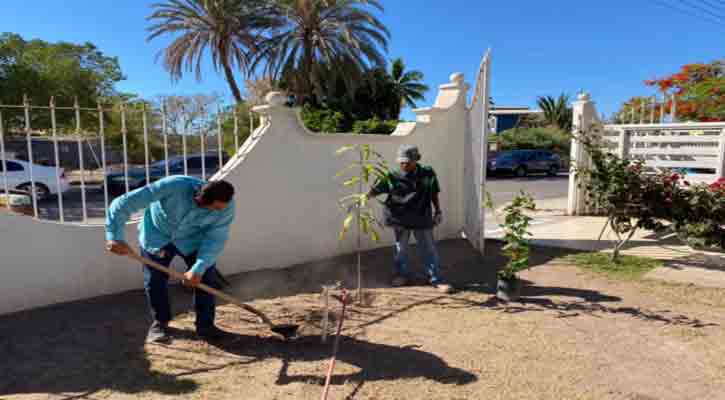 Donan 100 árboles para el programa de reforestación “Adopta un Árbol” en Loreto