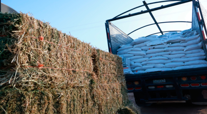 Entregó el gobernador Víctor Castro apoyos para el campo a productores de BCS