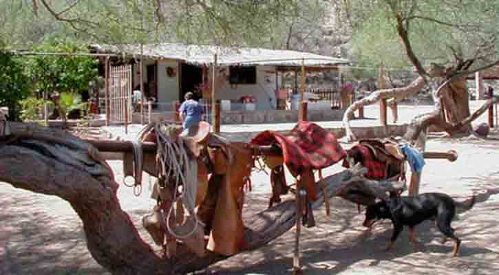 Buscan en Congreso del Estado dar representatividad legal al ranchero sudcaliforniano