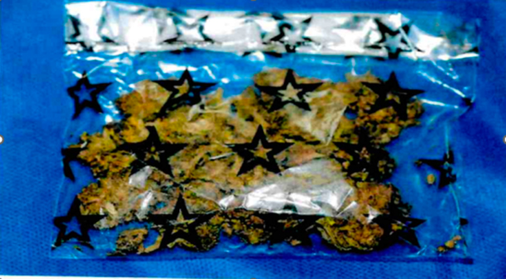 Catean domicilio en La Paz y encuentran 2 bolsas con droga Catean domicilio en La Paz y encuentran 2 bolsas con droga