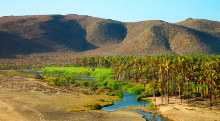 Acuífero de Todos Santos en condición aceptable; falla la distribución: Conagua