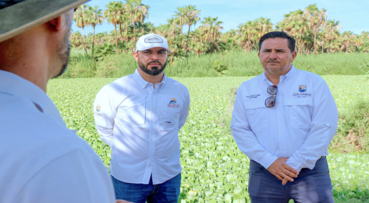 Inicia análisis de viabilidad técnica para proyecto de reforestación en Estero de SJC