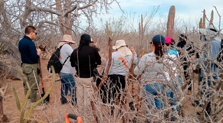 Siguen apareciendo osamentas en fosas clandestinas; 4 este domingo en La Paz