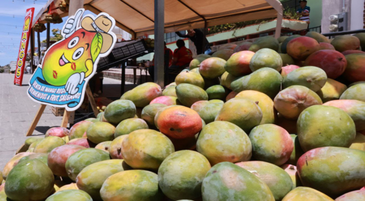 Inauguró Víctor Castro el Festival del Mango en Todos Santos