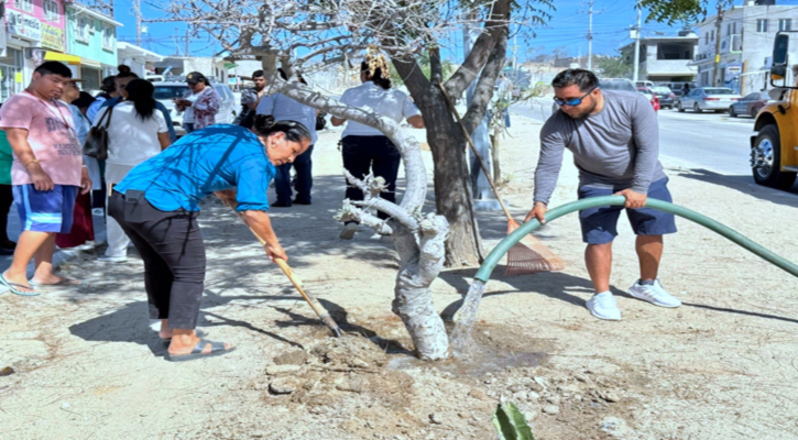 Reforestan campo deportivo en Las Veredas; avanza rescate de espacios públicos en SJC