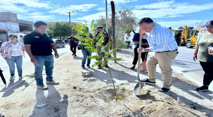 Realizan jornada de limpieza y reforestación en la colonia Leonardo Gastélum, en CSL