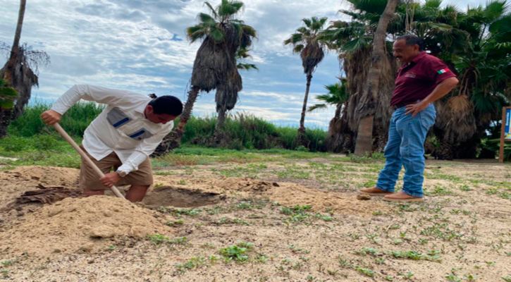 Atiende Ayuntamiento de Los Cabos denuncia ciudadana en materia de protección a la tortuga marina
